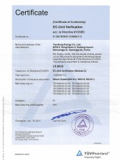 CE-2010.06